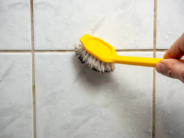 Professional Mold Removal in Moorhead, MN