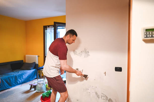 Best Mold Cleaning Services  in Moorhead, MN